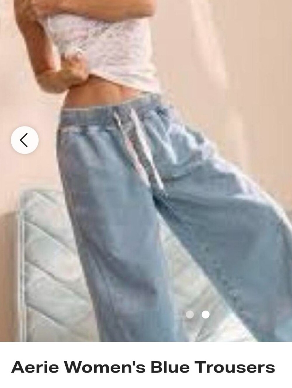 Aerie Womens Blue Trouser Pants